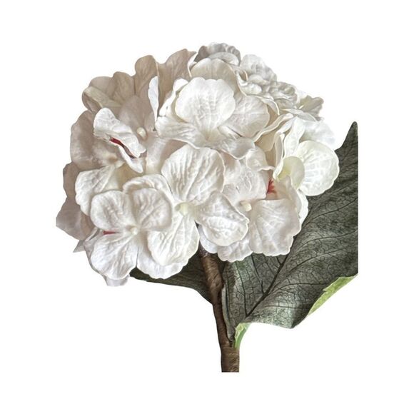 Elegant White Flowers. - Picture 3 of 5